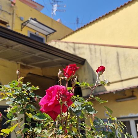 شقة Casa Marfi سان جورجو أ كريمانو المظهر الخارجي الصورة